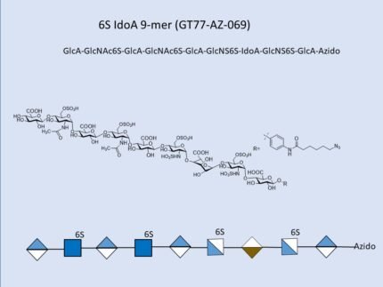 GT77 AZ 069 1