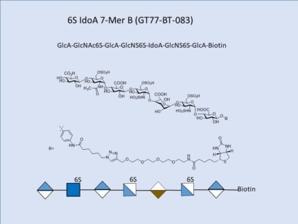 GT77 BT 083 1