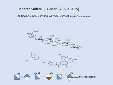 GT77 FL 015 1