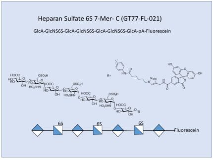 GT77 FL 021 1