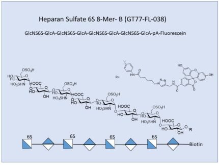 GT77 FL 038 1