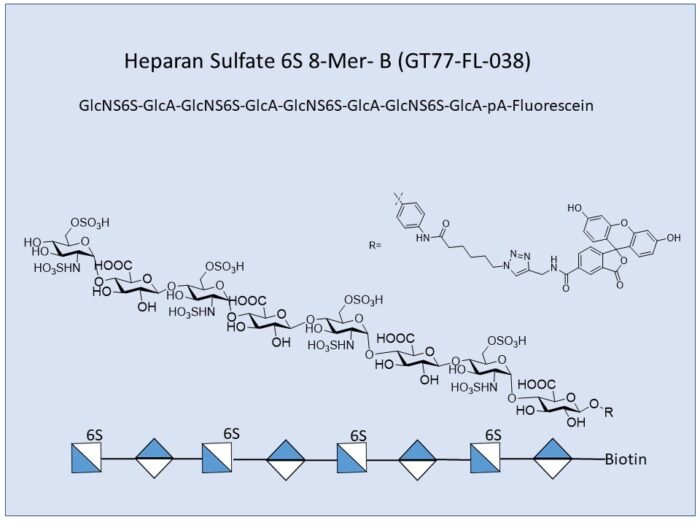 gt77-fl-038