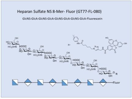 GT77 FL 080 1