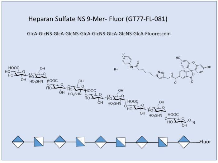 gt77-fl-081