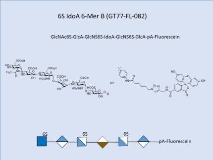GT77 FL 082 1