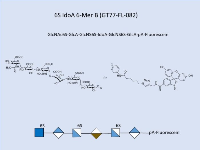 GT77 FL 082 1