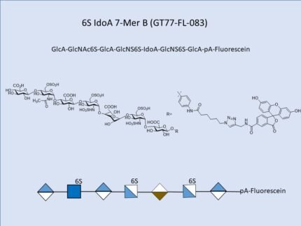 GT77 FL 083 1