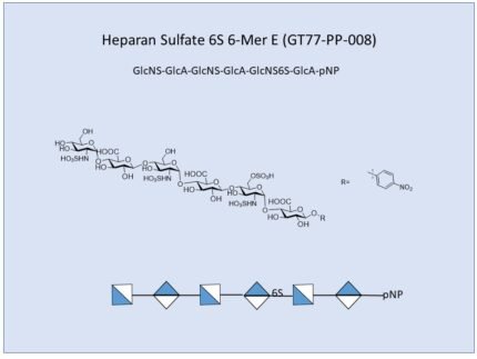 GT77 PP 008 1