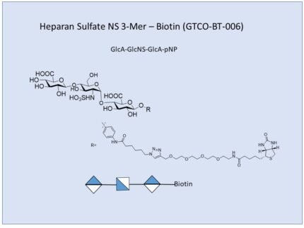 GTCO BT 006 1