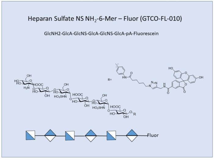 gtco-fl-010