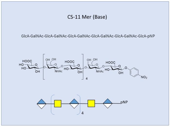 Chondroitin Sulfate