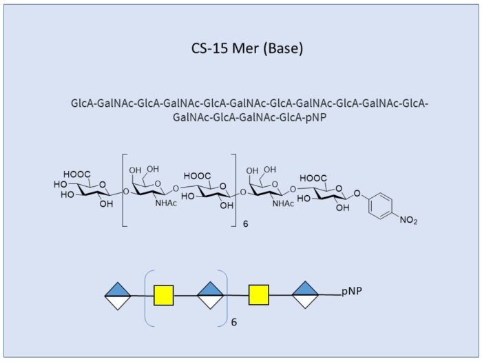 Chondroitin Sulfate