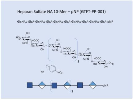 GTFT PP 001 1