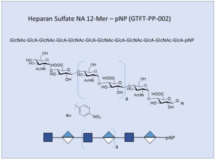 GTFT PP 002 1