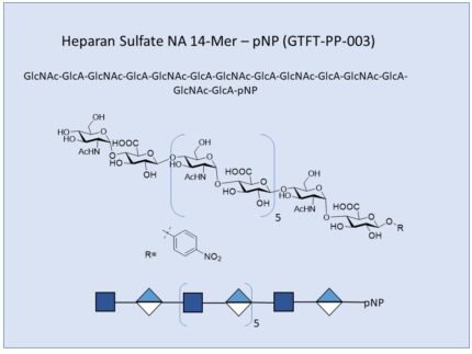 GTFT PP 003 1