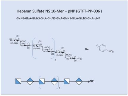 GTFT PP 006 1
