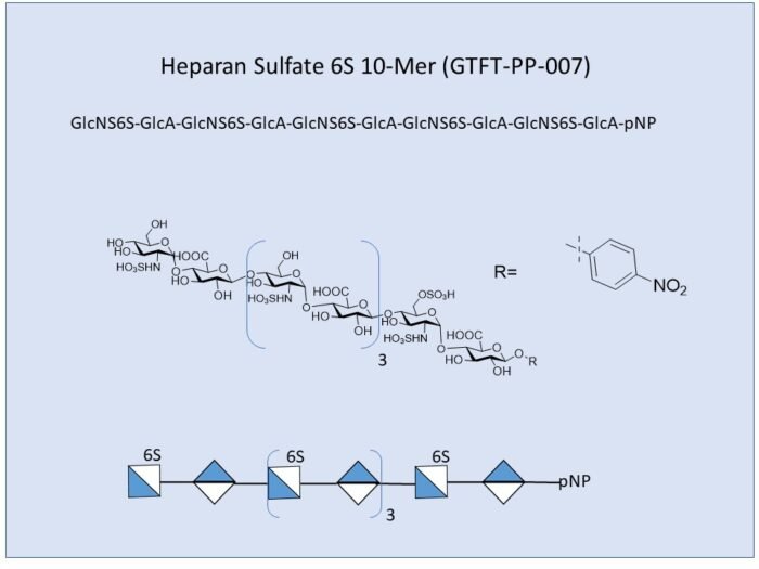 gtft-pp-007