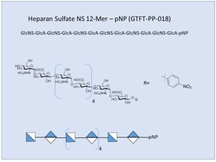 GTFT PP 018 1