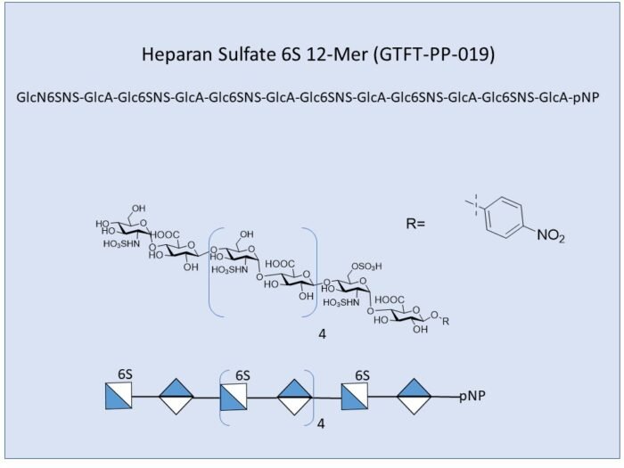 gtft-pp-019