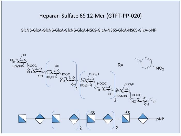 gtft-pp-020