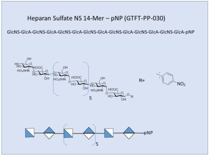 GTFT PP 030 1