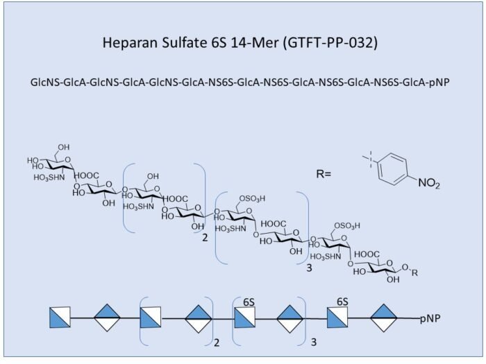 gtft-pp-032