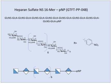 GTFT PP 048 1