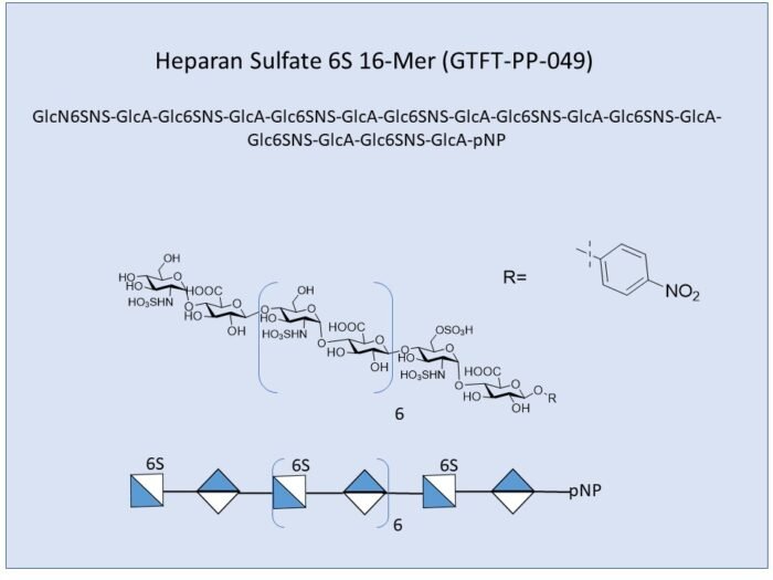 gtft-pp-049