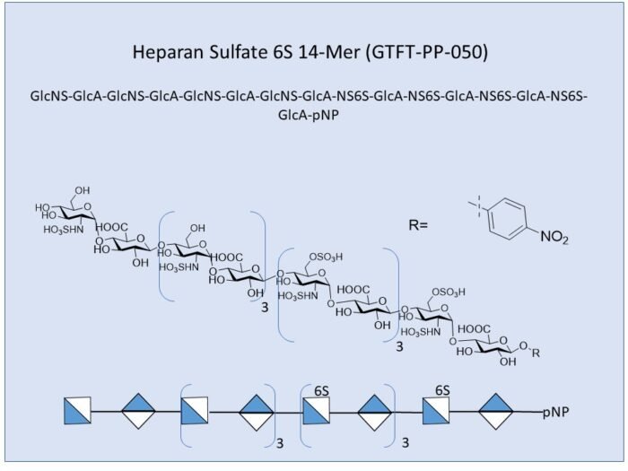 gtft-pp-050