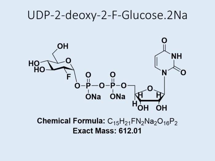 udp-2-deoxy-2-f-glucose-2na