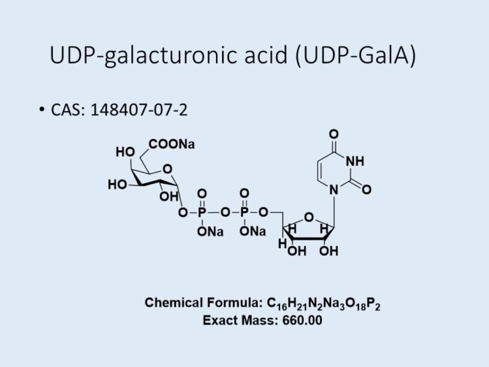 udp-gala