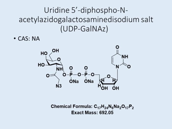 udp-galnaz