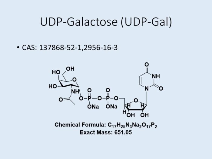 udp-galactose