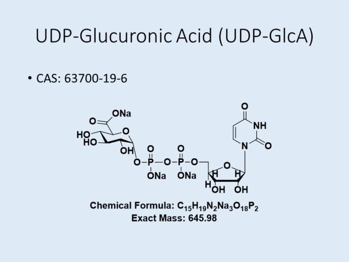 udp-glucuronic-acid