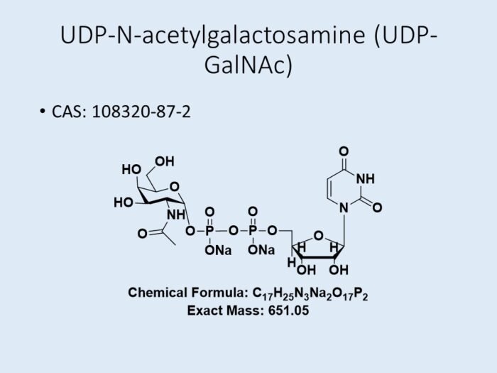 udp-n-acetylgalactosamine