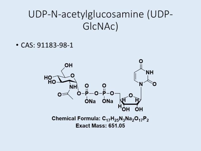 udp-n-acetylglucosamine