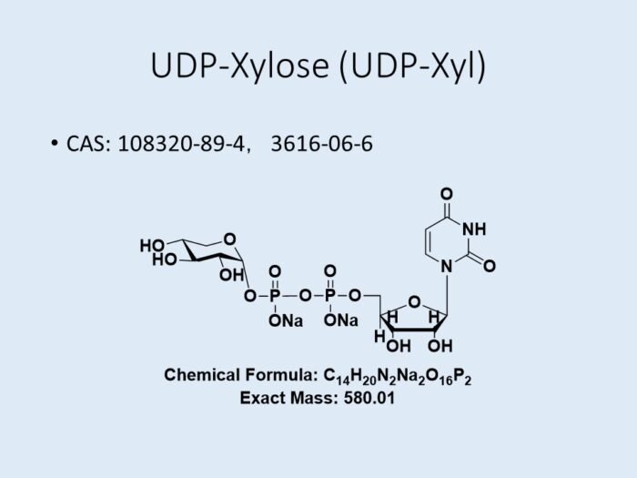 udp-xylose