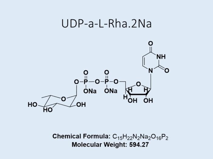 udp-a-l-rha-2na