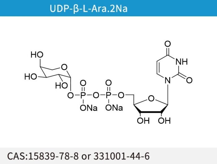 UDP-b-L-Ara.2Na