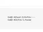 1-3-1-4-alpha-l-fucosidase-afcb