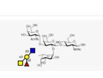 Blood-type-tetrasaccharide-A-Type-I