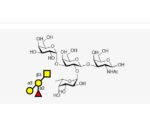 Blood-type-tetrasaccharide-B-Type-III-IV