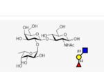 Blood-type-trisaccharide-H-Type-I