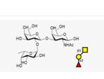 Blood-type-trisaccharide-H-Type-III-IV