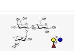 Blood-type-trisaccharide-H-Type-VI-2-FL