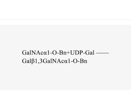 c1galt1