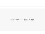 Endoglycoceramidases-I-EGCaseI