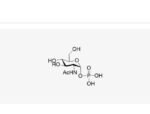 GlcNAc-1-P