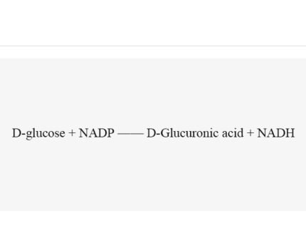 glucose-dehydrogenase-bsgdh