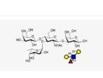 Lewis-X-LeX-Tetrasaccharide